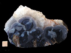 k4549