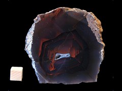 k4553