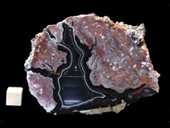 k4556