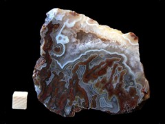 k4557