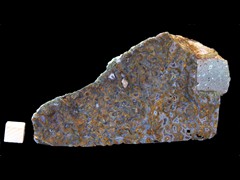 k4559