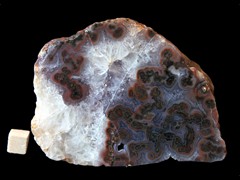 k4571