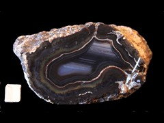 k4577