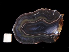 k4578