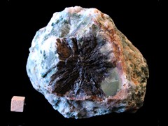 k4595-1