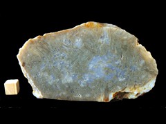 k4619