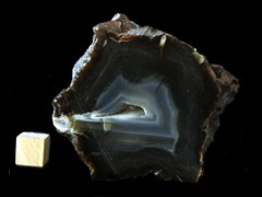 k4631
