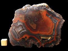k4648