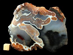 k4652