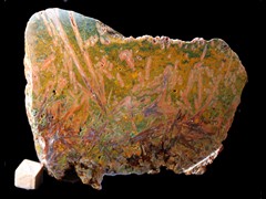 k4656