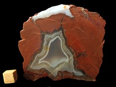 k4669