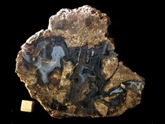 k4678