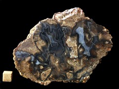 k4679