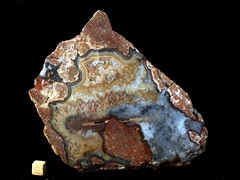k4681