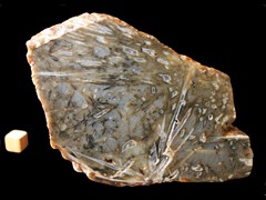 k4682