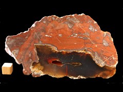 k4685