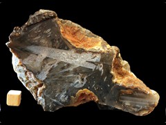 k4686
