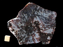 k4694