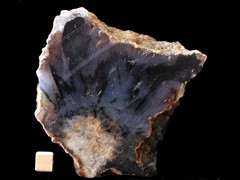 k4696
