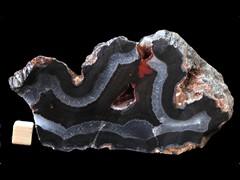 k4698