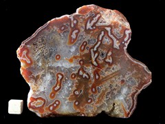 k4756