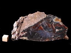 k4786