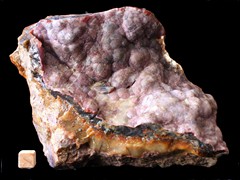 k4795