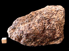 k4799