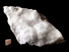 k4809