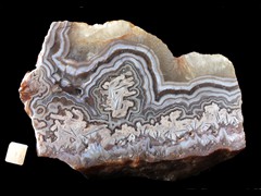 k4855