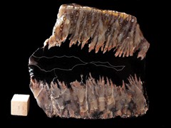 k4858