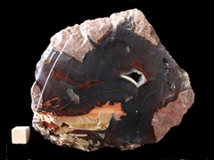 k4865