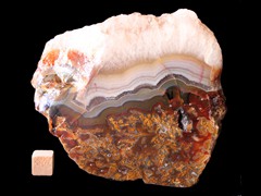 k4869