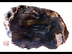 k4875