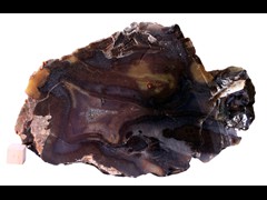 k4876