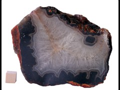 k4877
