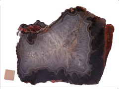 k4878