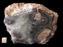 k4881