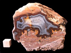 k4919