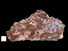 k4933