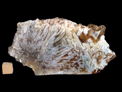 k4937