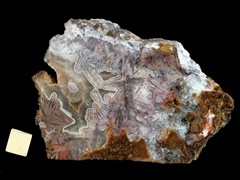 k4953