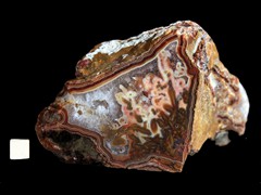 k4955