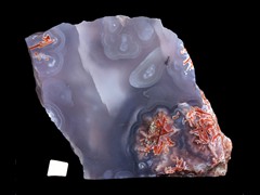 k4956