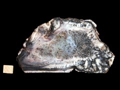 k4962