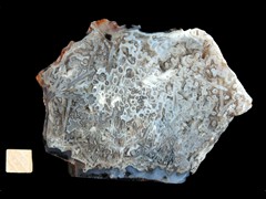 k4971