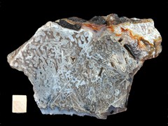 k4972
