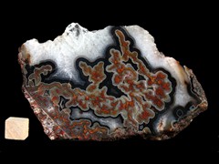k4977
