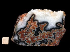 k4978