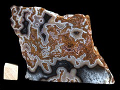 k4983